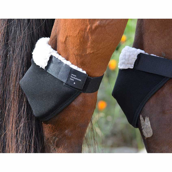 Click Horse Hock Shield